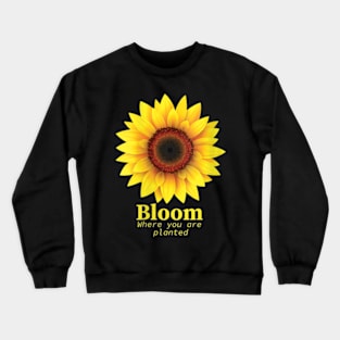 Bloom Where You Are Planted Great Sunflower Motivation Quote Crewneck Sweatshirt